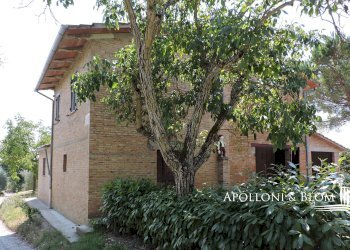 Rustic Montepulciano - photo 26