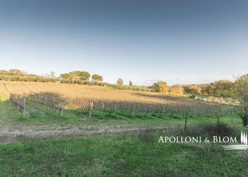 Rustic Montepulciano - photo 32