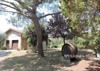 Rustic Montepulciano - photo 33