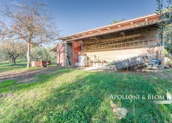 Rustic Montepulciano - photo 42
