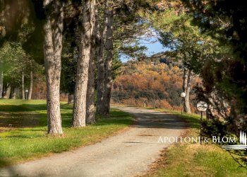 Rustico Vicolo Largo, Sovicille - foto 5