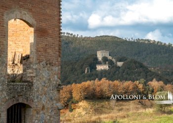 Rustico Vicolo Largo, Sovicille - foto 44