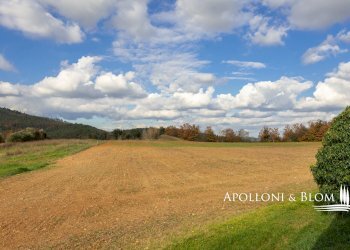 Rustico Vicolo Largo, Sovicille - foto 47