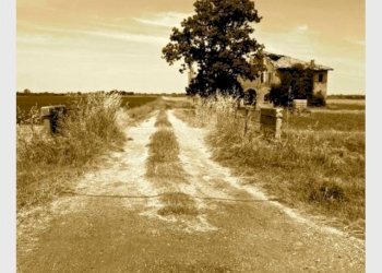 Rustico Nonantola, MO, Nonantola - foto 1