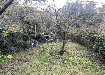 Casa indipendente Genova (zona Pontedecimo) - foto 35