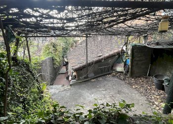 Casa indipendente Genova (zona Pontedecimo) - foto 43