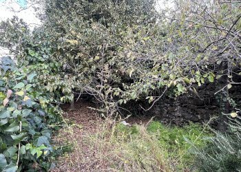 Casa indipendente Genova (zona Pontedecimo) - foto 46