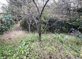 Casa indipendente Genova (zona Pontedecimo) - foto 47