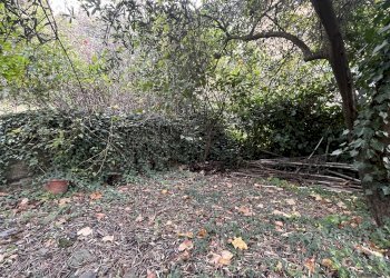 Casa indipendente Genova (zona Pontedecimo) - foto 48