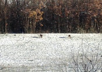 Casa indipendente Via Ca' di Rigone, Castel d'Aiano - foto 22