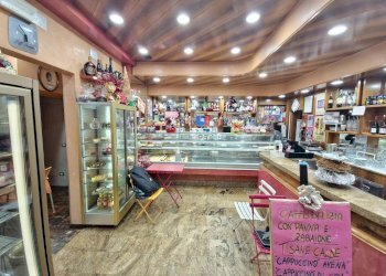 Bar Tavola Calda - Fredda Bologna - foto 3