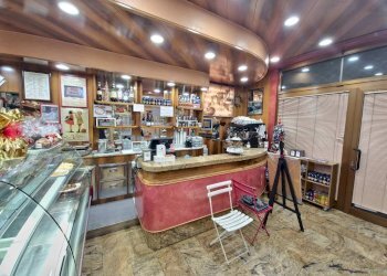 Bar Tavola Calda - Fredda Bologna - foto 10