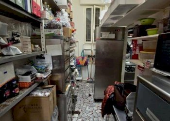 Bar Tavola Calda - Fredda Bologna - foto 11