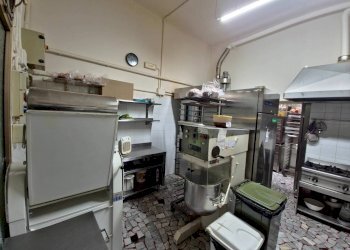 Bar Tavola Calda - Fredda Bologna - foto 12