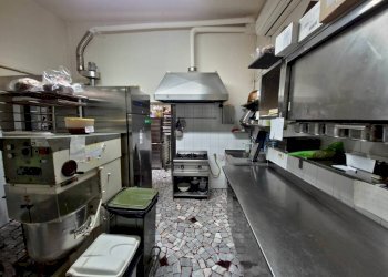 Bar Tavola Calda - Fredda Bologna - foto 13