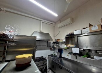 Bar Tavola Calda - Fredda Bologna - foto 16