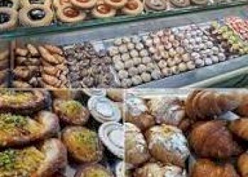 Bar Tavola Calda - Fredda Bologna - foto 22