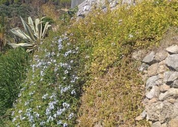 Villa Finale Ligure - foto 42