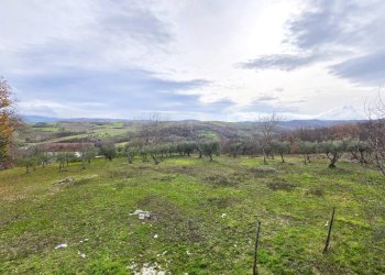 Foto 28 - Casa indipendente C/da Pescocupo, Paternopoli - foto 28