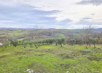 Foto 29 - Casa indipendente C/da Pescocupo, Paternopoli - foto 29