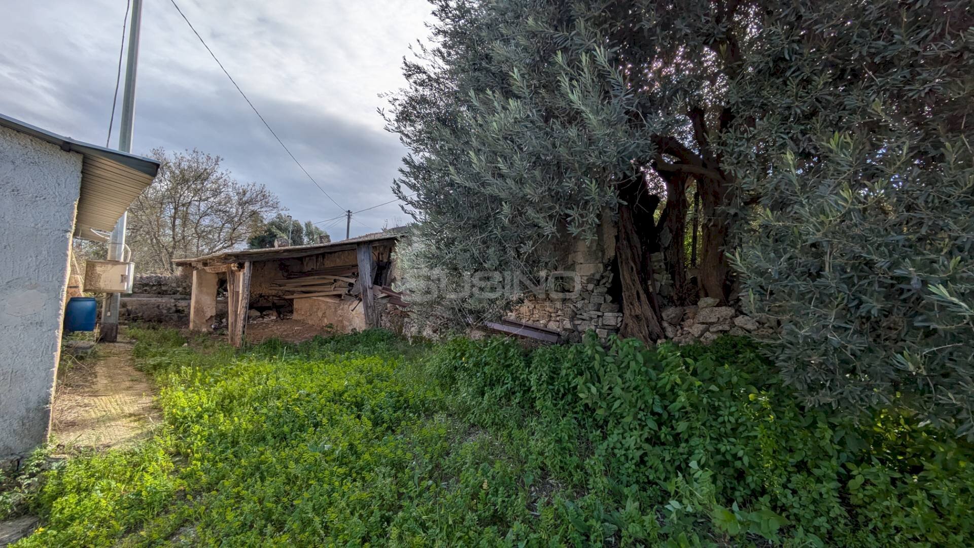 Foto 3 - Agricultural land TRAVERSA CASE BIANCHE, Siracusa - photo 3