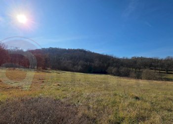 Foto 61 - Independent house Via Paradiso
 
snc, Arpino - photo 61