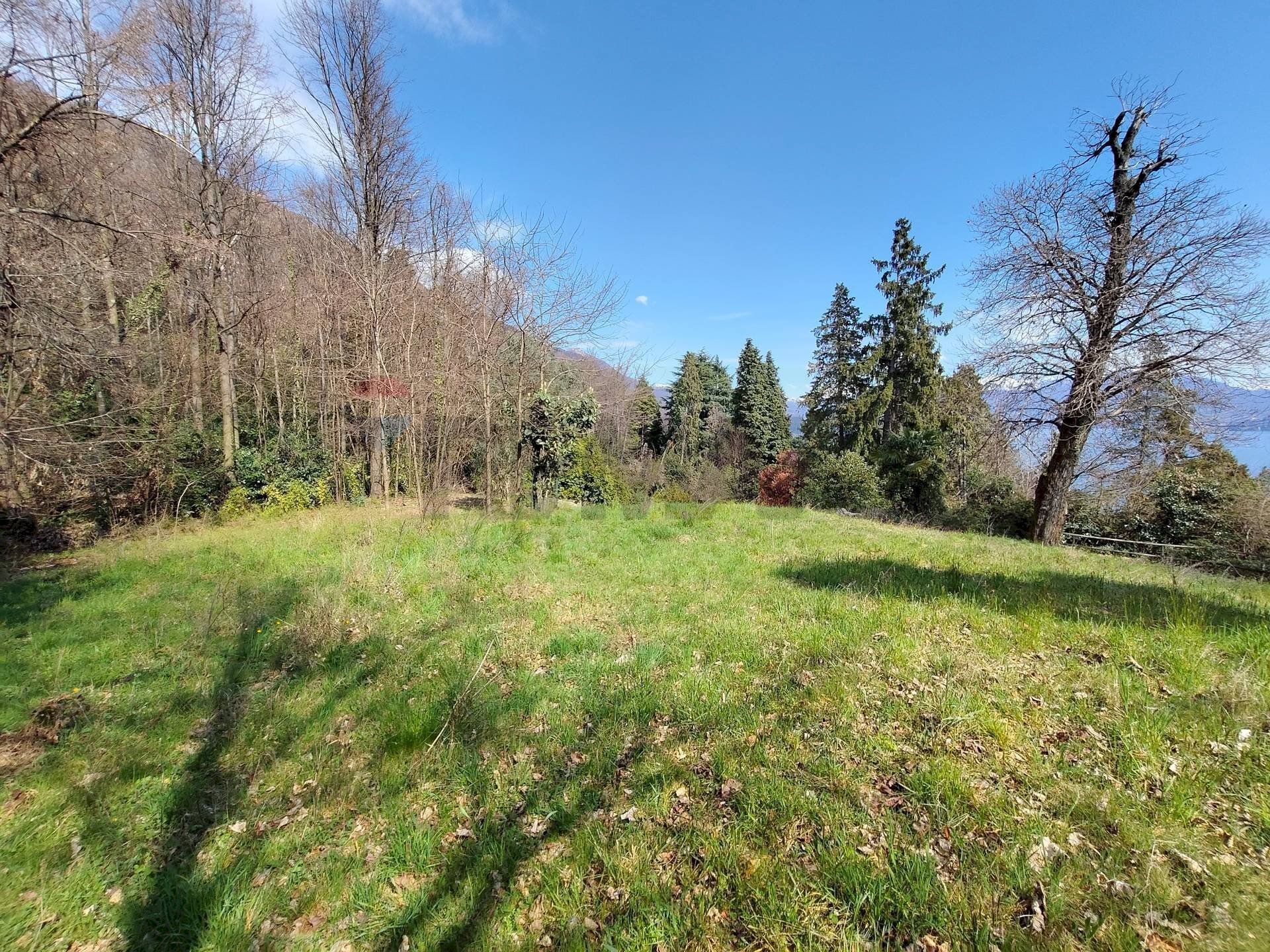 Giardino - Terreno agricolo Ghiffa - foto 3