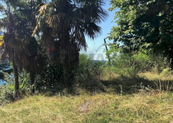 Giardino - Terreno agricolo Ghiffa - foto 4