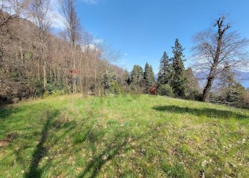 Giardino - Terreno agricolo Ghiffa - foto 3