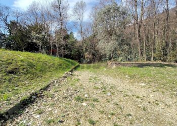 Giardino - Terreno agricolo Ghiffa - foto 6