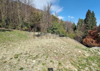 Giardino - Terreno agricolo Ghiffa - foto 7