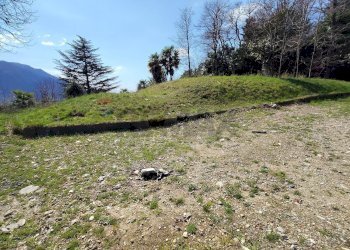 Giardino - Terreno agricolo Ghiffa - foto 11