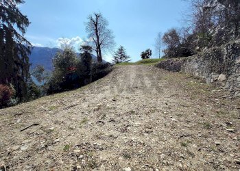 Vista delle montagne - Terreno agricolo Ghiffa - foto 12