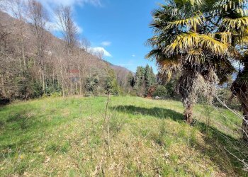 Vista delle montagne - Terreno agricolo Ghiffa - foto 14