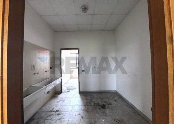 Hall / corridoio - Commercial Premises Cocquio-Trevisago - photo 11