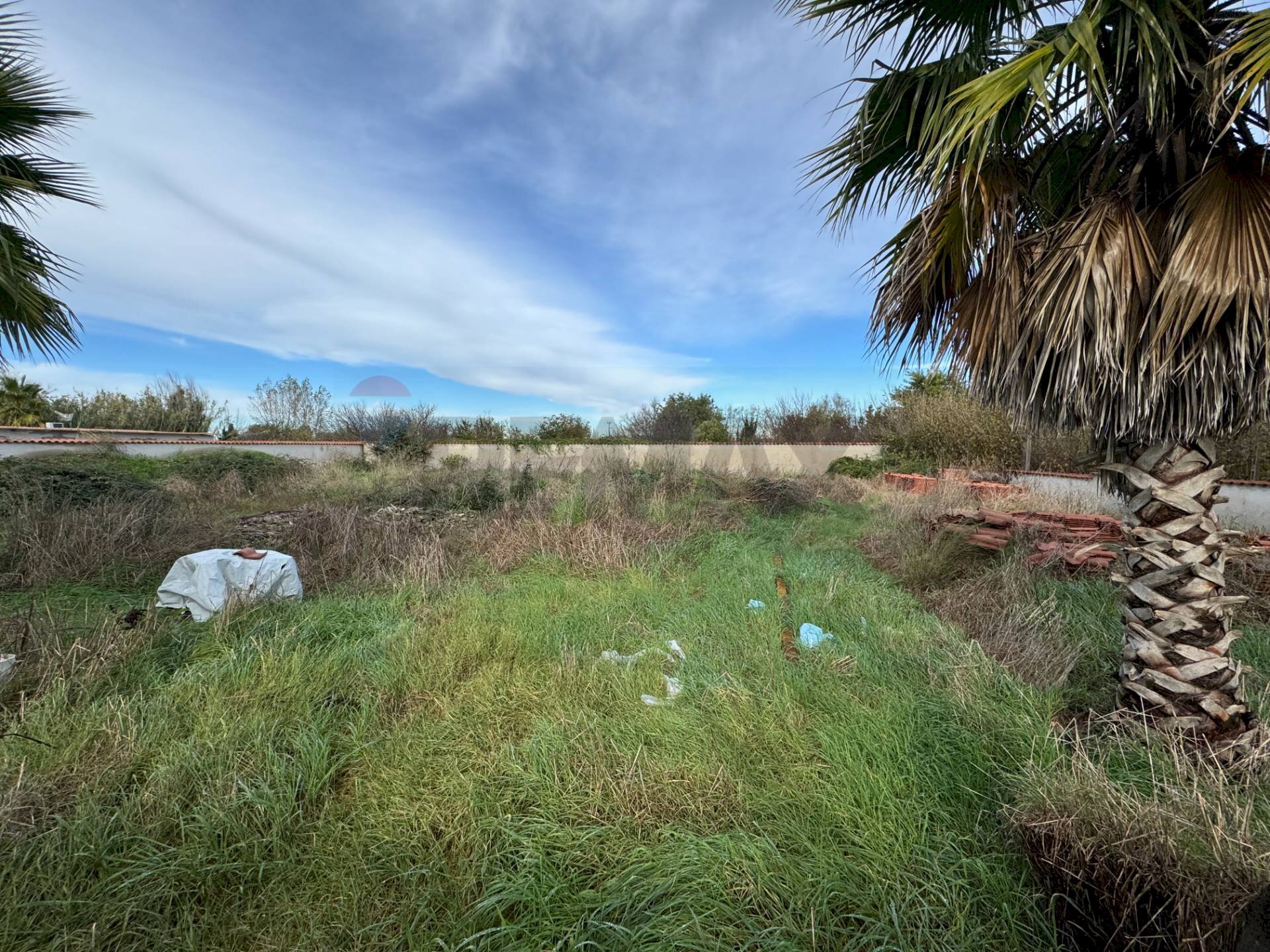 Giardino - Agricultural land Giugliano in Campania - photo 3