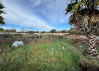 Giardino - Terreno agricolo Giugliano in Campania - foto 3