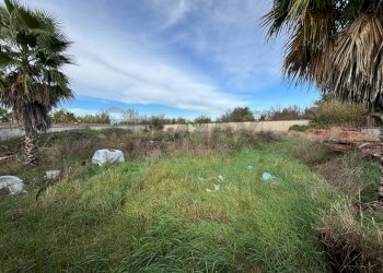 Giardino - Terreno agricolo Giugliano in Campania - foto 4