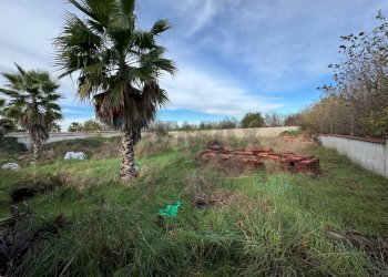 Giardino - Terreno agricolo Giugliano in Campania - foto 5