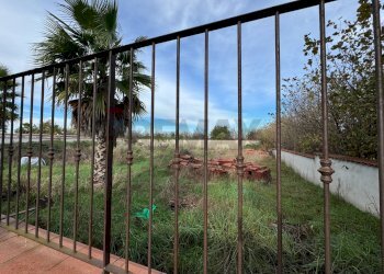 Giardino - Terreno agricolo Giugliano in Campania - foto 6