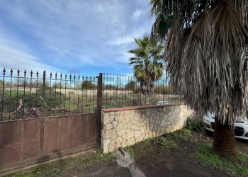 Giardino - Terreno agricolo Giugliano in Campania - foto 7