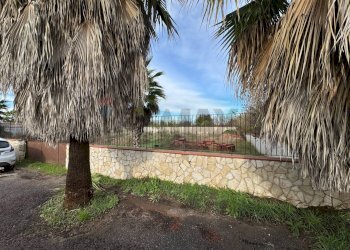 Giardino - Terreno agricolo Giugliano in Campania - foto 8