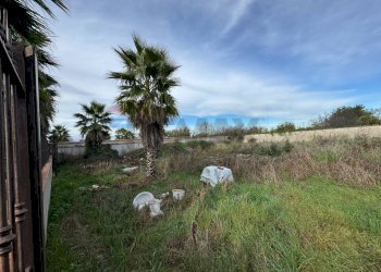 Giardino - Terreno agricolo Giugliano in Campania - foto 11