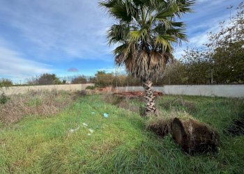 Giardino - Terreno agricolo Giugliano in Campania - foto 12
