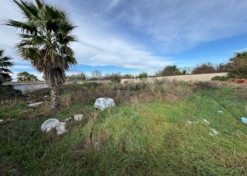 Giardino - Terreno agricolo Giugliano in Campania - foto 13