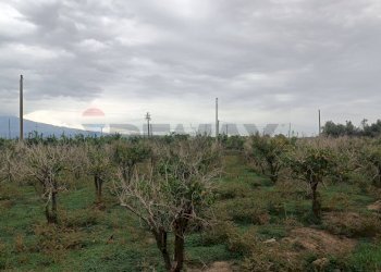 Vista delle montagne - Agricultural land Contrada Reina, Belpasso - photo 16