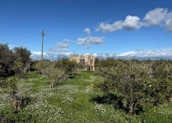 Vista delle montagne - Agricultural land Contrada Reina, Belpasso - photo 2