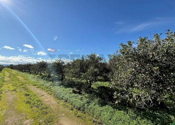 Vista delle montagne - Agricultural land Contrada Reina, Belpasso - photo 5