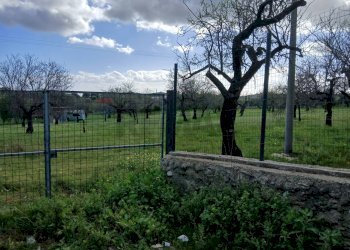 Giardino - Terreno edificabile Contrada Bochini Fiumarella
 
snc, Avola - foto 4