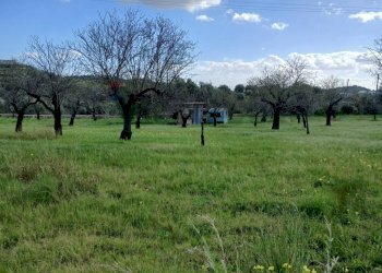Giardino - Terreno edificabile Contrada Bochini Fiumarella
 
snc, Avola - foto 6